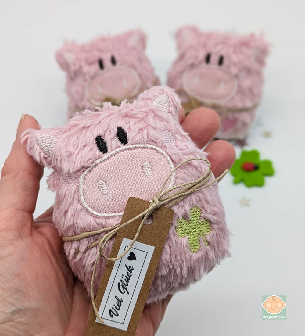 Hand hält Plüsch-Schwein